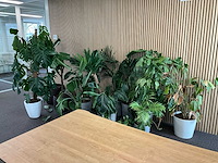 Planten met pot (14x) - afbeelding 2 van  3