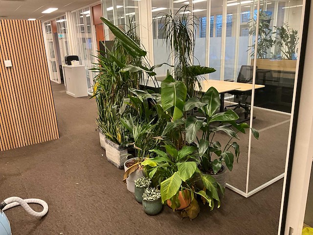 Planten met pot (17x) - afbeelding 2 van  4