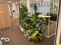 Planten met pot (17x) - afbeelding 2 van  4