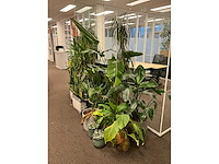 Planten met pot (17x) - afbeelding 3 van  4