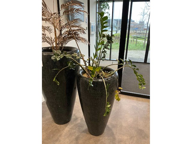 Planten met pot (2x) - afbeelding 2 van  3