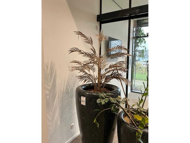 Planten met pot (2x) - afbeelding 3 van  3