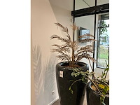 Planten met pot (2x) - afbeelding 3 van  3