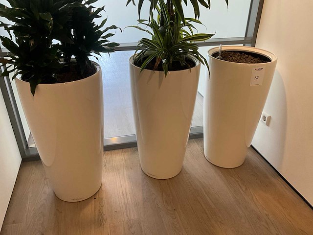 Planten met pot (2x) - afbeelding 2 van  4