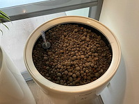 Planten met pot (2x) - afbeelding 4 van  4