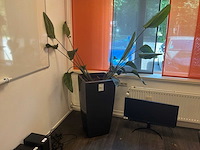 Planten met pot (2x) - afbeelding 1 van  6