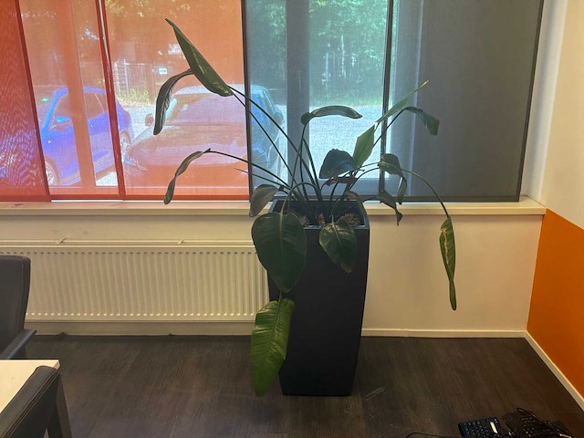 Planten met pot (2x) - afbeelding 2 van  6