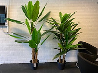 Planten met pot (2x) - afbeelding 1 van  5
