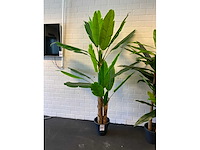 Planten met pot (2x) - afbeelding 2 van  5