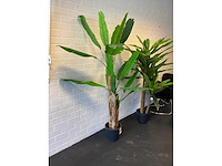 Planten met pot (2x) - afbeelding 4 van  5