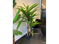 Planten met pot (2x) - afbeelding 5 van  5