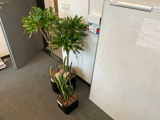 Planten met pot (2x) - afbeelding 2 van  2