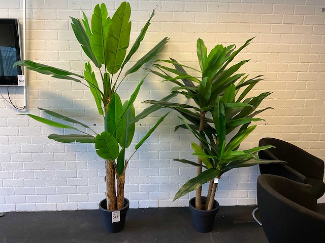 Planten met pot (2x) - afbeelding 1 van  5