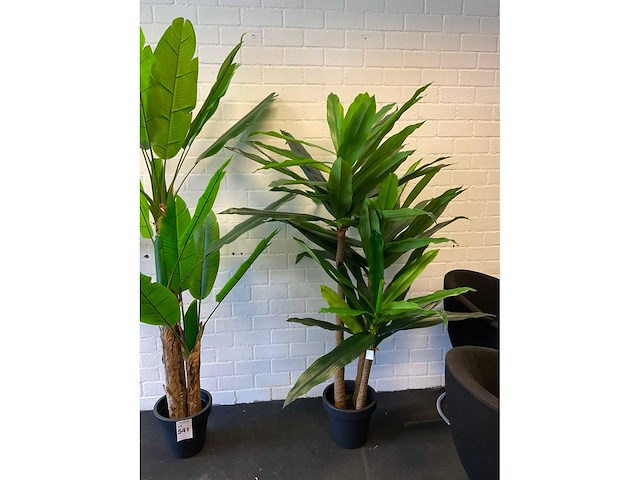 Planten met pot (2x) - afbeelding 3 van  5