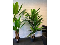 Planten met pot (2x) - afbeelding 3 van  5