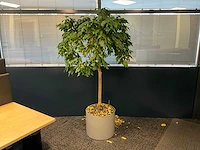 Planten met pot (2x) - afbeelding 2 van  2
