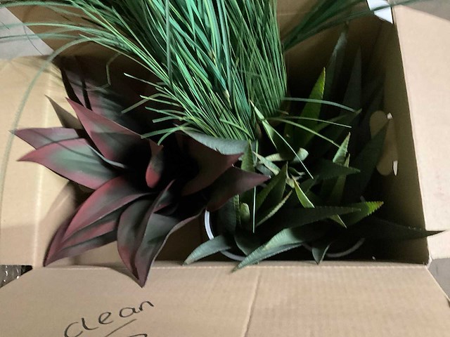 Planten met pot (3x) - afbeelding 6 van  7