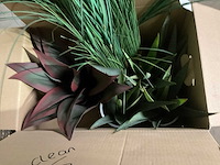 Planten met pot (3x) - afbeelding 6 van  7