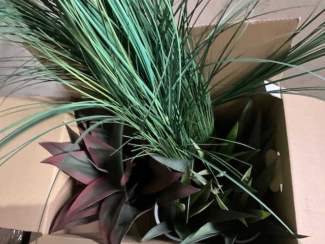 Planten met pot (3x) - afbeelding 7 van  7