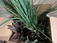 Planten met pot (3x) - afbeelding 7 van  7