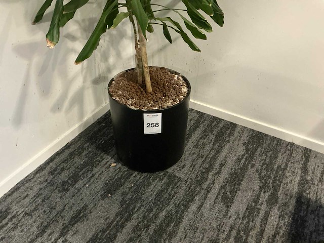 Planten met pot (3x) - afbeelding 2 van  4