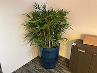 Planten met pot (3x) - afbeelding 3 van  4