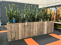 Planten met pot (3x)
