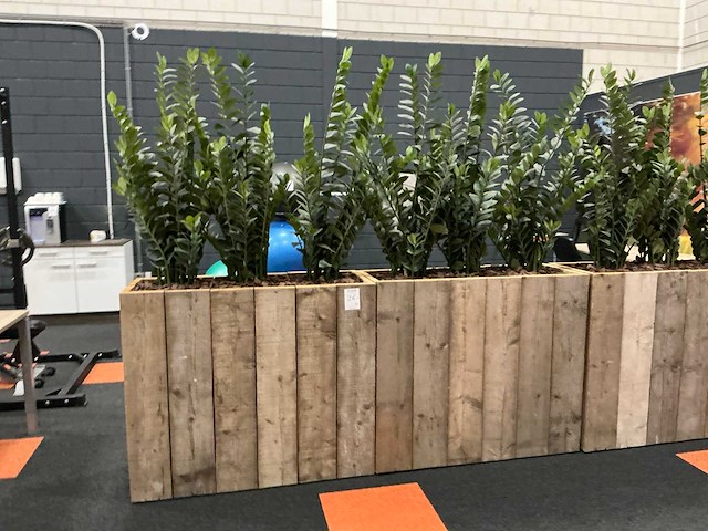 Planten met pot (3x) - afbeelding 2 van  4