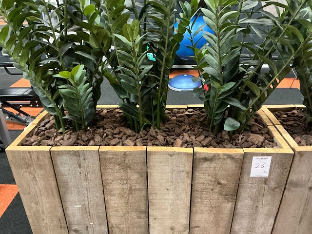 Planten met pot (3x) - afbeelding 4 van  4