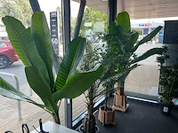 Planten met pot (3x) - afbeelding 2 van  6