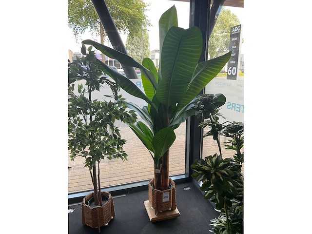 Planten met pot (3x) - afbeelding 3 van  6