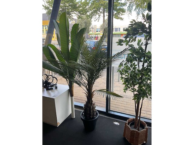 Planten met pot (3x) - afbeelding 4 van  6