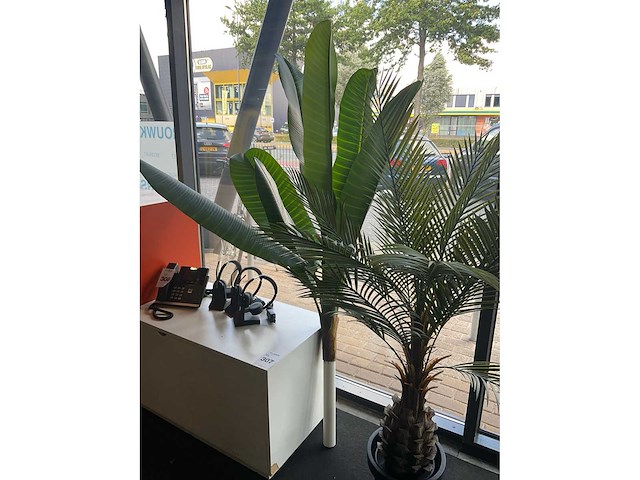 Planten met pot (3x) - afbeelding 5 van  6