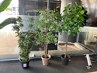 Planten met pot (3x) - afbeelding 1 van  5