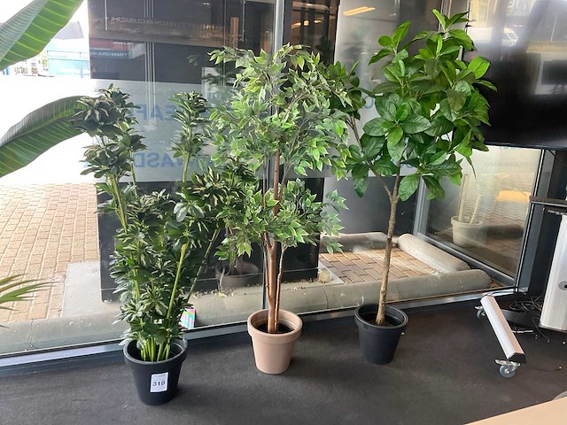Planten met pot (3x) - afbeelding 2 van  5