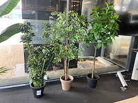 Planten met pot (3x) - afbeelding 2 van  5