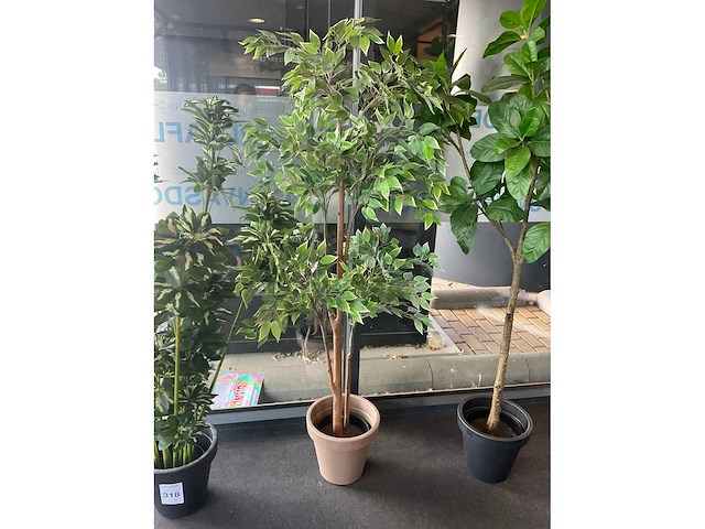 Planten met pot (3x) - afbeelding 4 van  5