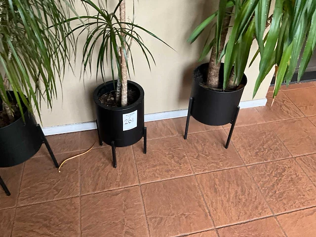 Planten met pot (3x) - afbeelding 4 van  4