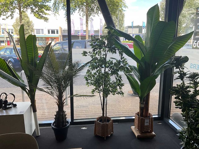 Planten met pot (3x) - afbeelding 1 van  6