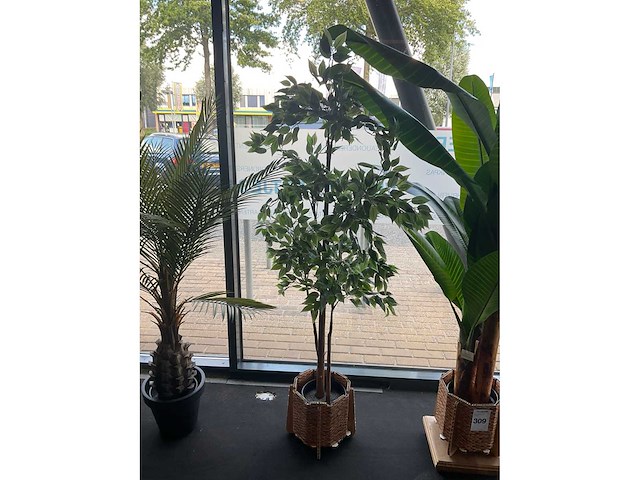 Planten met pot (3x) - afbeelding 4 van  6