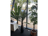 Planten met pot (3x) - afbeelding 5 van  6