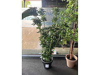 Planten met pot (3x) - afbeelding 3 van  5