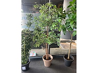 Planten met pot (3x) - afbeelding 4 van  5