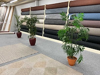 Planten met pot (4x)