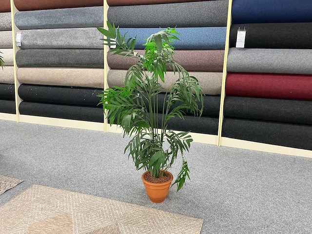 Planten met pot (4x) - afbeelding 2 van  5