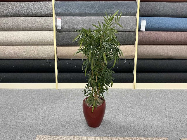 Planten met pot (4x) - afbeelding 3 van  5