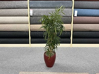 Planten met pot (4x) - afbeelding 3 van  5