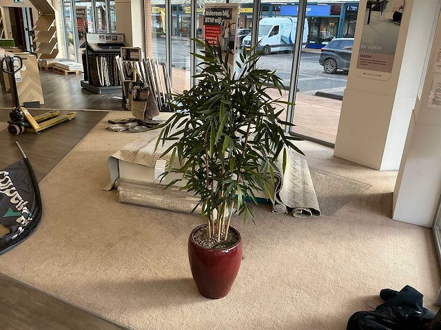 Planten met pot (4x) - afbeelding 5 van  5