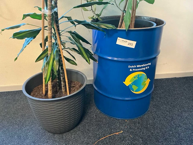 Planten met pot (4x) - afbeelding 2 van  5