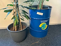 Planten met pot (4x) - afbeelding 2 van  5